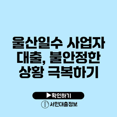 울산일수 사업자 대출, 불안정한 상황 극복하기