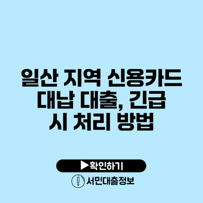 일산 지역 신용카드 대납 대출, 긴급 시 처리 방법