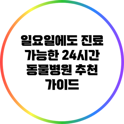 일요일에도 진료 가능한 24시간 동물병원 추천 가이드