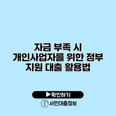 자금 부족 시 개인사업자를 위한 정부 지원 대출 활용법