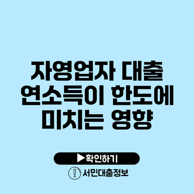 자영업자 대출: 연소득이 한도에 미치는 영향