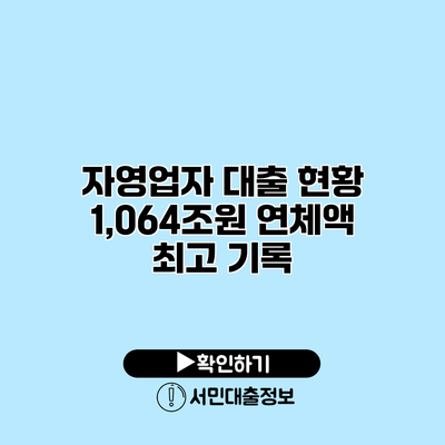 자영업자 대출 현황: 1,064조원 연체액 최고 기록
