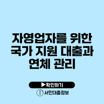 자영업자를 위한 국가 지원 대출과 연체 관리