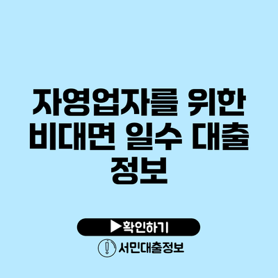 자영업자를 위한 비대면 일수 대출 정보