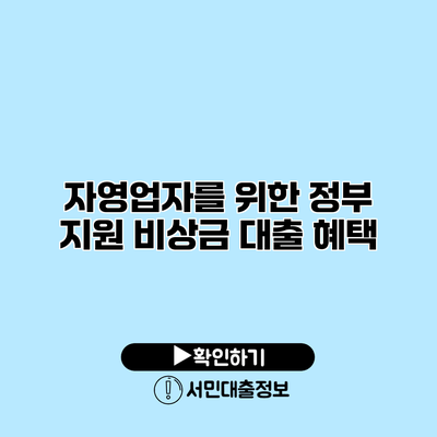 자영업자를 위한 정부 지원 비상금 대출 혜택