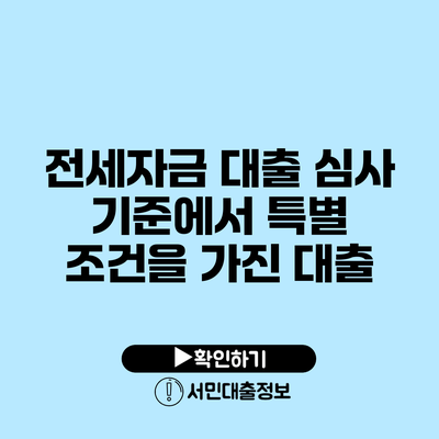 전세자금 대출 심사 기준에서 특별 조건을 가진 대출