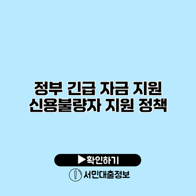 정부 긴급 자금 지원: 신용불량자 지원 정책