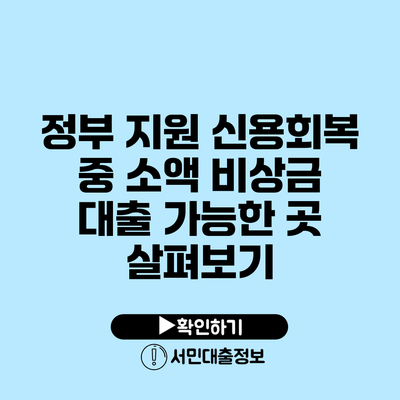 정부 지원 신용회복 중 소액 비상금 대출 가능한 곳 살펴보기