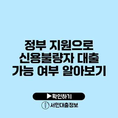 정부 지원으로 신용불량자 대출 가능 여부 알아보기
