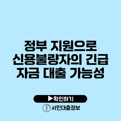 정부 지원으로 신용불량자의 긴급 자금 대출 가능성