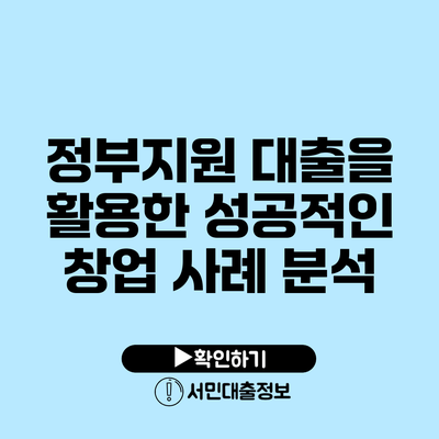정부지원 대출을 활용한 성공적인 창업 사례 분석