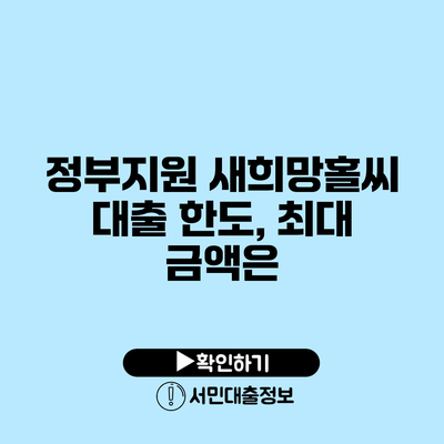 정부지원 새희망홀씨 대출 한도, 최대 금액은?