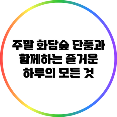주말 화담숲: 단풍과 함께하는 즐거운 하루의 모든 것