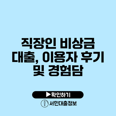 직장인 비상금 대출, 이용자 후기 및 경험담