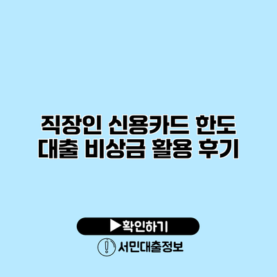 직장인 신용카드 한도 대출 비상금 활용 후기