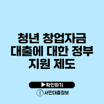 청년 창업자금 대출에 대한 정부 지원 제도