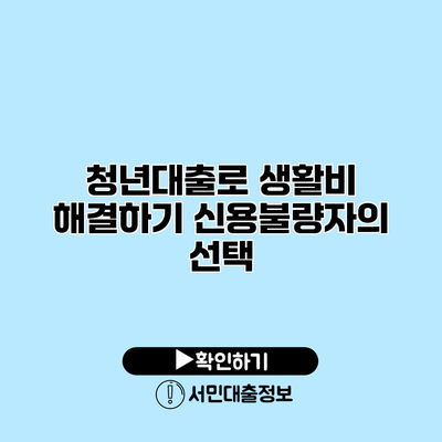 청년대출로 생활비 해결하기: 신용불량자의 선택