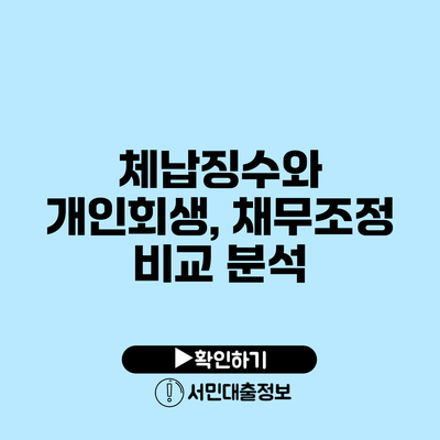 체납징수와 개인회생, 채무조정 비교 분석