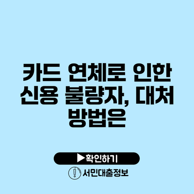카드 연체로 인한 신용 불량자, 대처 방법은?