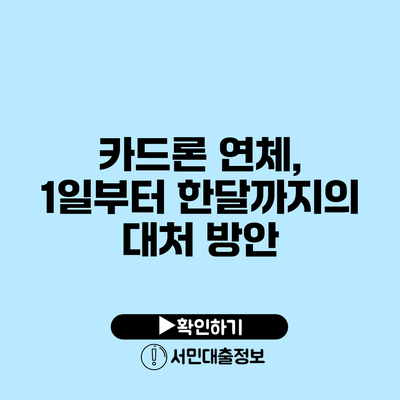 카드론 연체, 1일부터 한달까지의 대처 방안