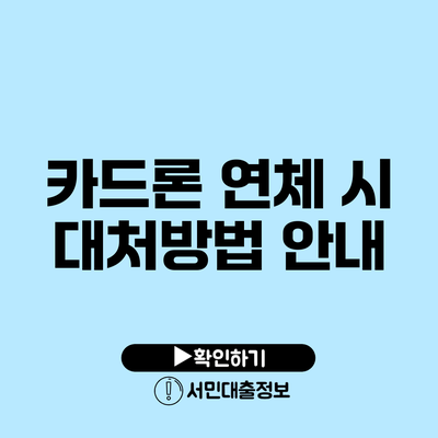 카드론 연체 시 대처방법 안내