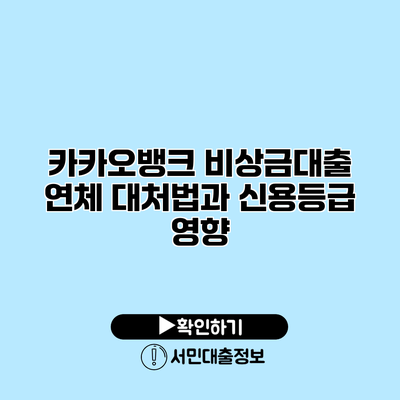 카카오뱅크 비상금대출 연체 대처법과 신용등급 영향