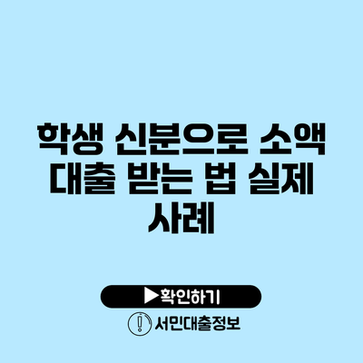 학생 신분으로 소액 대출 받는 법: 실제 사례
