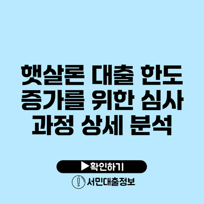 **햇살론 대출 한도 증가를 위한 심사 과정 상세 분석**