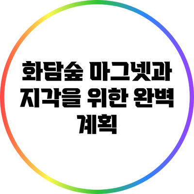 화담숲 마그넷과 지각을 위한 완벽 계획