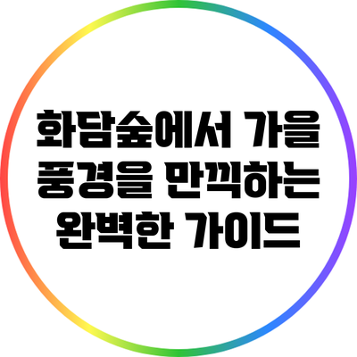 화담숲에서 가을 풍경을 만끽하는 완벽한 가이드