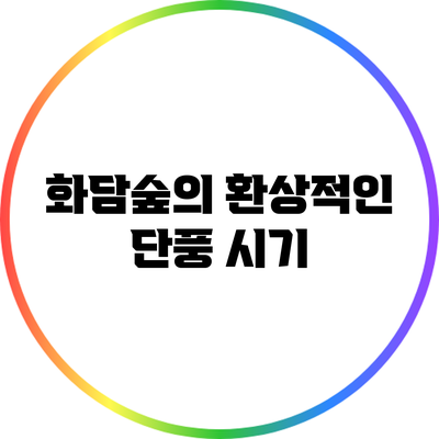 화담숲의 환상적인 단풍 시기