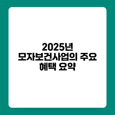 2025년 모자보건사업의 주요 혜택 요약