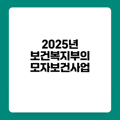 2025년 보건복지부의 모자보건사업