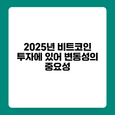 2025년 비트코인 투자에 있어 변동성의 중요성