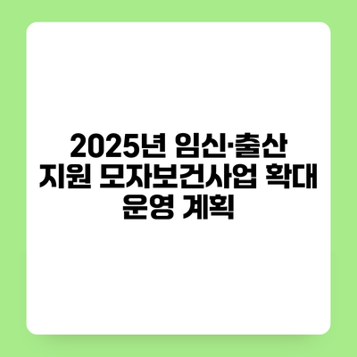 2025년 임신·출산 지원 모자보건사업 확대 운영 계획