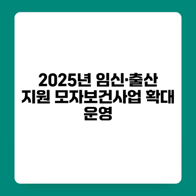 2025년 임신·출산 지원 모자보건사업 확대 운영