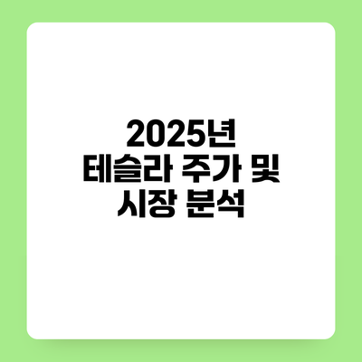 2025년 테슬라 주가 및 시장 분석