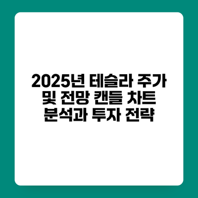 2025년 테슬라 주가 및 전망 캔들 차트 분석과 투자 전략