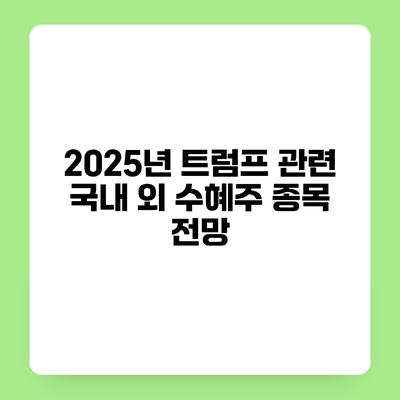 2025년 트럼프 관련 국내 외 수혜주 종목 전망