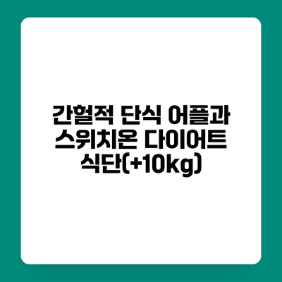 간헐적 단식 어플과 스위치온 다이어트 식단(+10kg)
