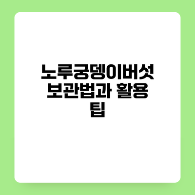 노루궁뎅이버섯 보관법과 활용 팁