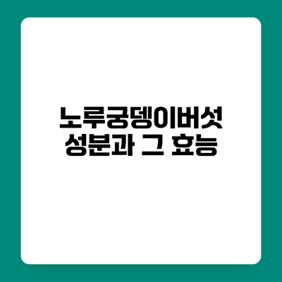노루궁뎅이버섯 성분과 그 효능