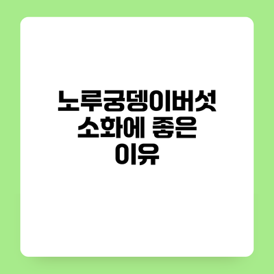 노루궁뎅이버섯 소화에 좋은 이유