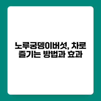 노루궁뎅이버섯, 차로 즐기는 방법과 효과