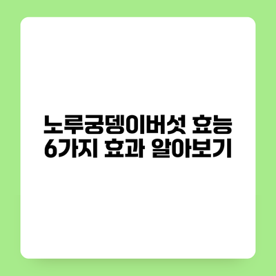 노루궁뎅이버섯 효능 6가지 효과 알아보기