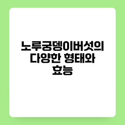 노루궁뎅이버섯의 다양한 형태와 효능