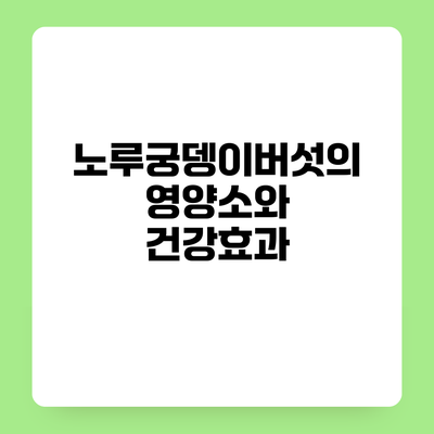 노루궁뎅이버섯의 영양소와 건강효과