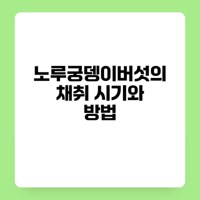 노루궁뎅이버섯의 채취 시기와 방법