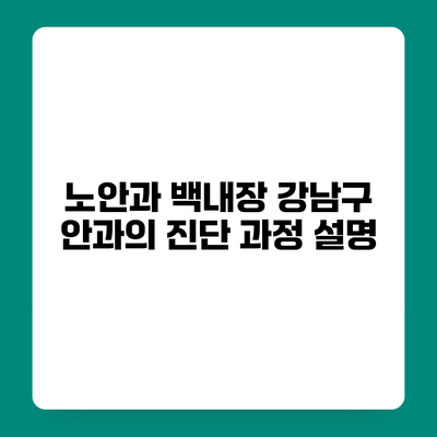 노안과 백내장 강남구 안과의 진단 과정 설명
