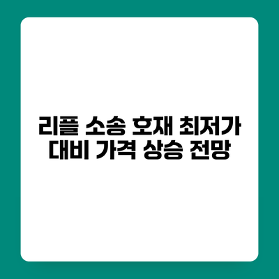 리플 소송 호재 최저가 대비 가격 상승 전망